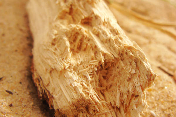 Wood, mainly from forest residue, is used to produce bio-gas for electricity generation.